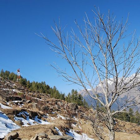 Auli Resort Joshīmath Zewnętrze zdjęcie